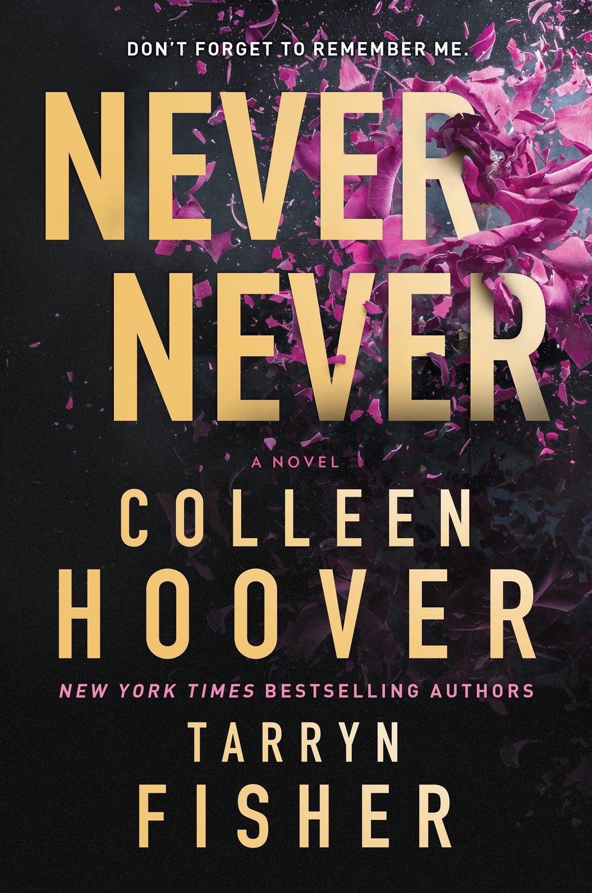 Nunca, nunca (Never, never) - Colleen Hoover, Tarryn Fisher, Iria Rebolo ·  5% de descuento